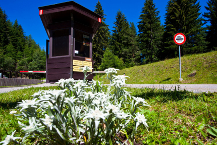 Goldeck – Urlaub in Kärnten am See – Urlaub am Millstätter See – Naturhäuschen Leitner