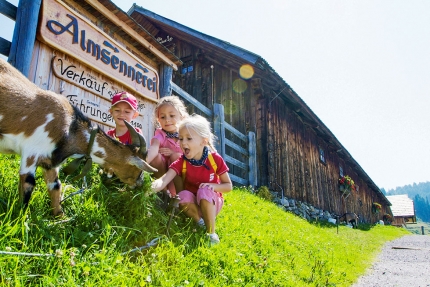 Wandern am Millstätter See – Urlaub am Millstätter See – Urlaub in Kärnten am See – Naturhäuschen am See