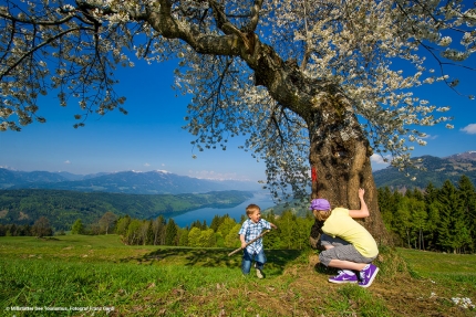 Millstätter See – Familien-Urlaub am Millstätter See – Urlaub in Kärnten am See – Naturhäuschen am See