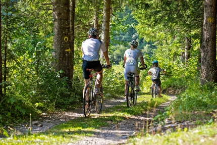 Radfahren & Biken am Millstätter See – Naturhäuschen Leitner – Familienurlaub in Kärnten am See – Urlaub am Millstätter See