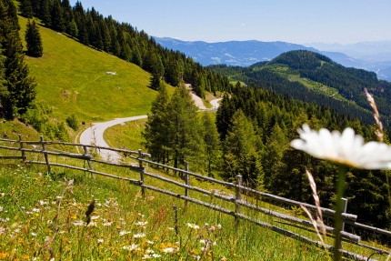 Goldeck – Wanderurlaub – Urlaub in Kärnten am See – Urlaub am Millstätter See – Naturhäuschen Leitner